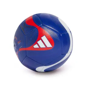 adidas Predator Training Ball