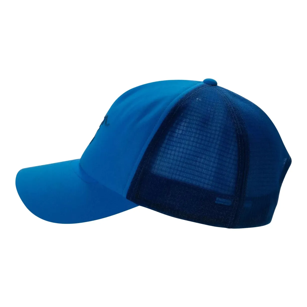 Arc'teryx Bird Curved Trucker Hat