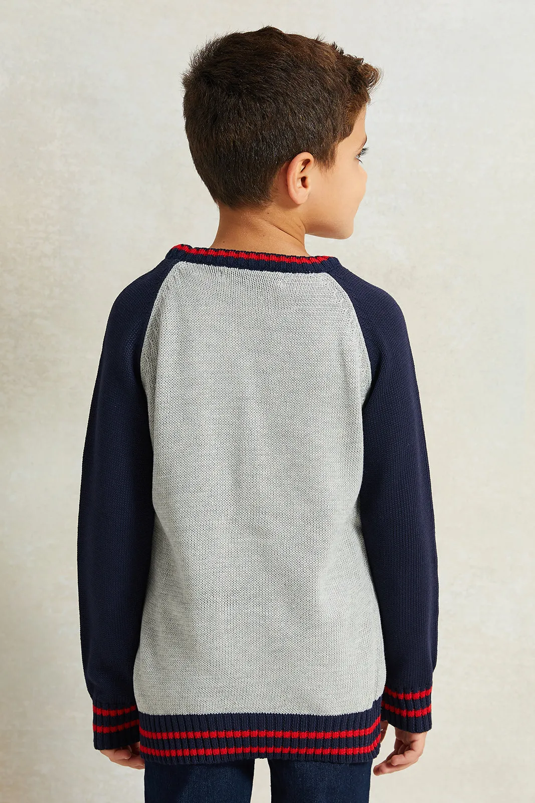 Boys Multicolour Solid Sweater