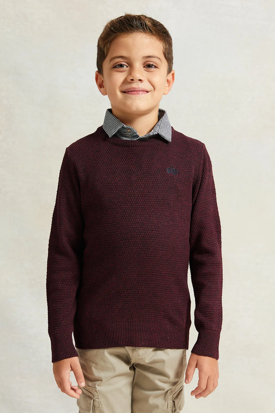 Boys Red Solid Sweater