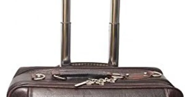 Brown Laptop Roller Case