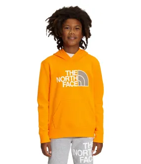 Camp Fleece Pullover Hoodie (Boys') - Past Season