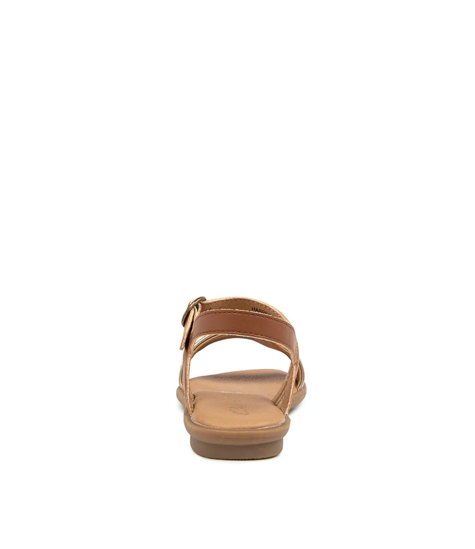 CLARKS Harper Iv Jnr Tan-gold