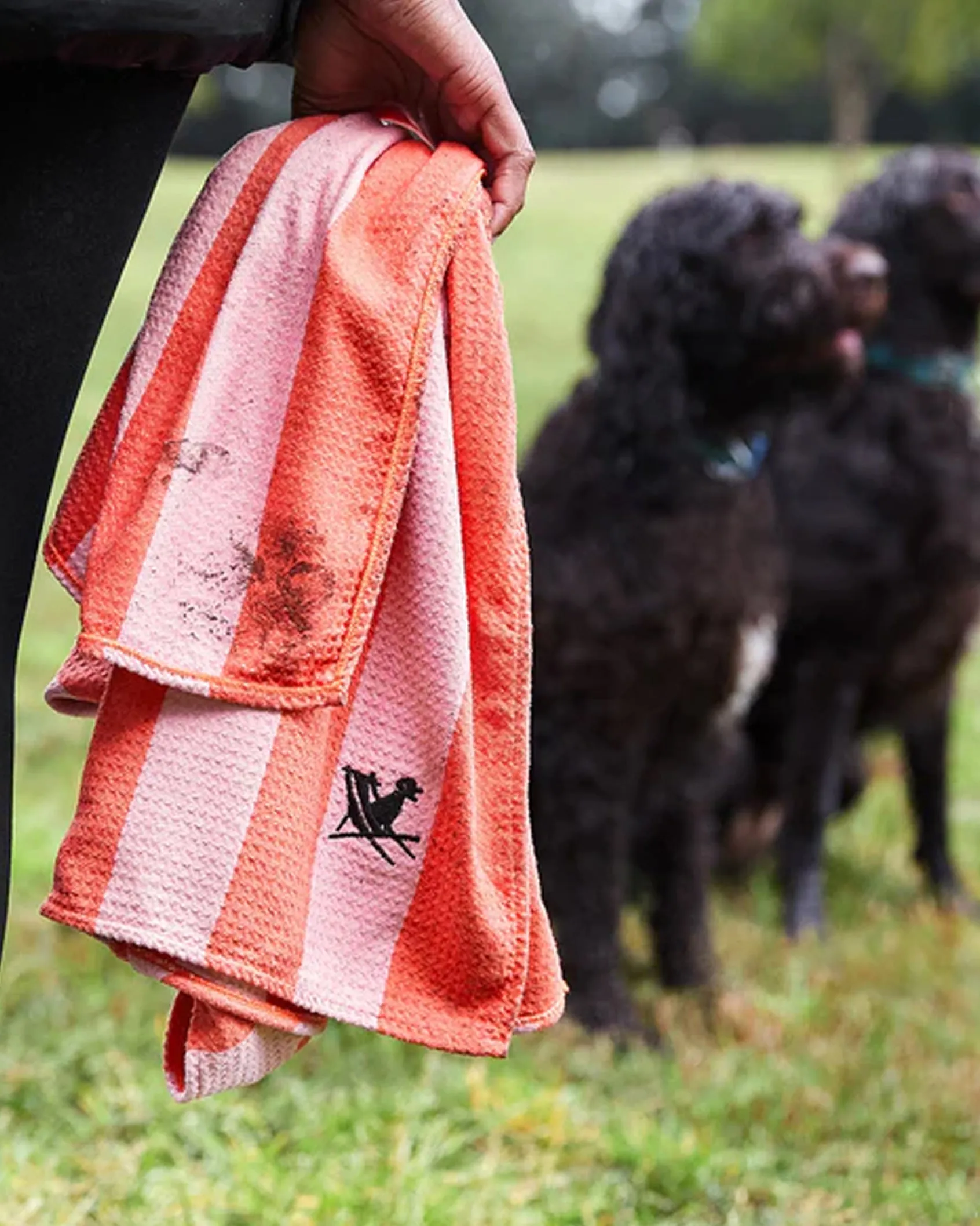 Dock and Bay Dog Towels