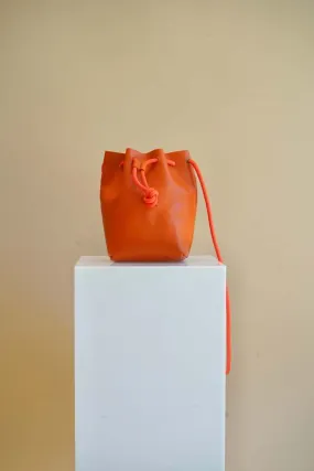 Elidia The Ambrose Bag