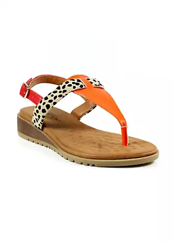 Gina Orange Sandals by Lunar | Look Again