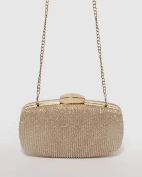 Gold Classic Hardcase Clutch Bag
