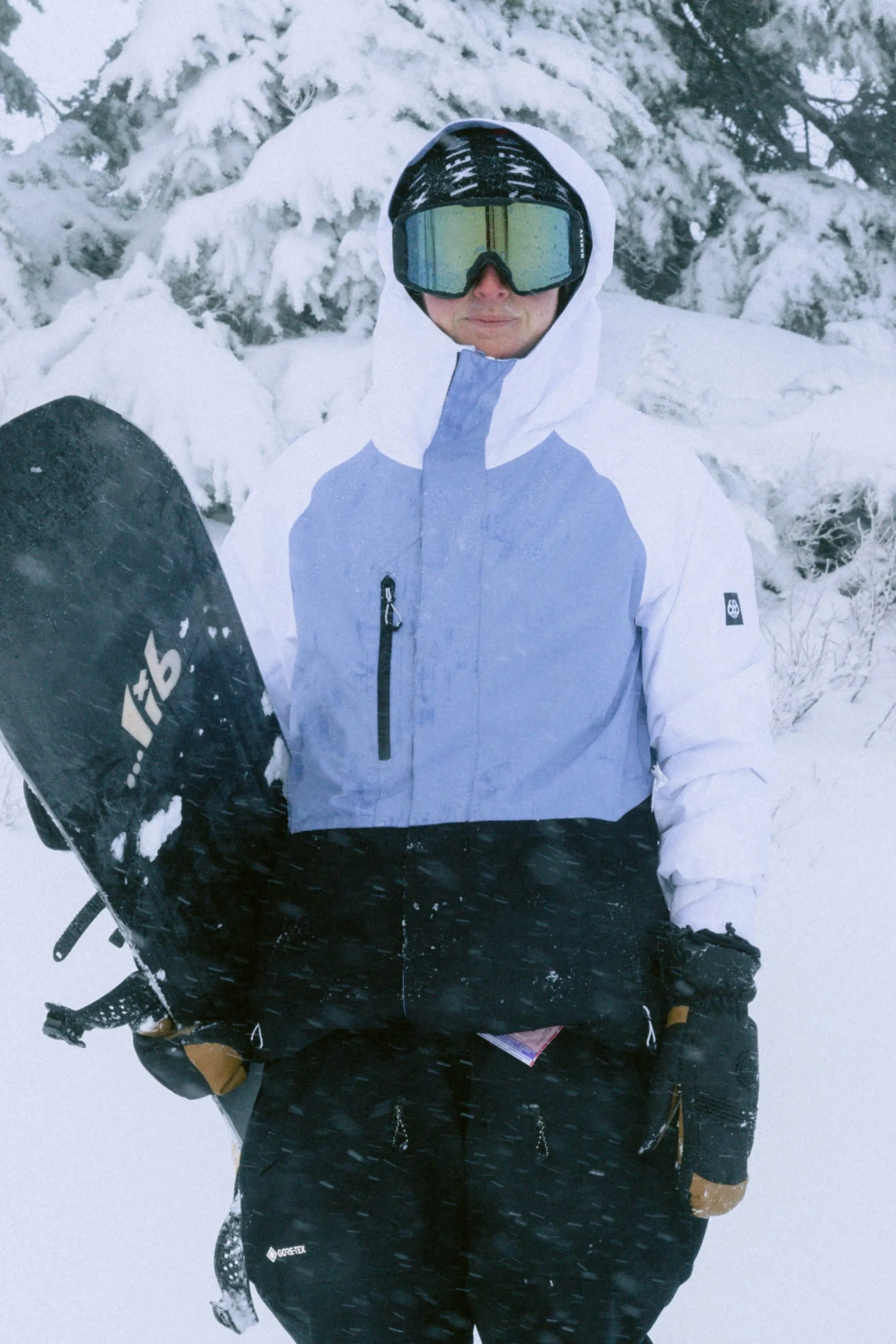   GORE-TEX Willow Insulated Jacket