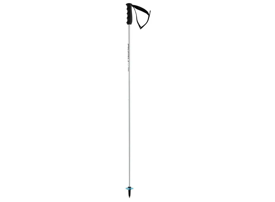 Head Worldcup SL Ski Race Pole.