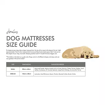 Joules Khaki Bee Print Dog Mattress | Kaleidoscope