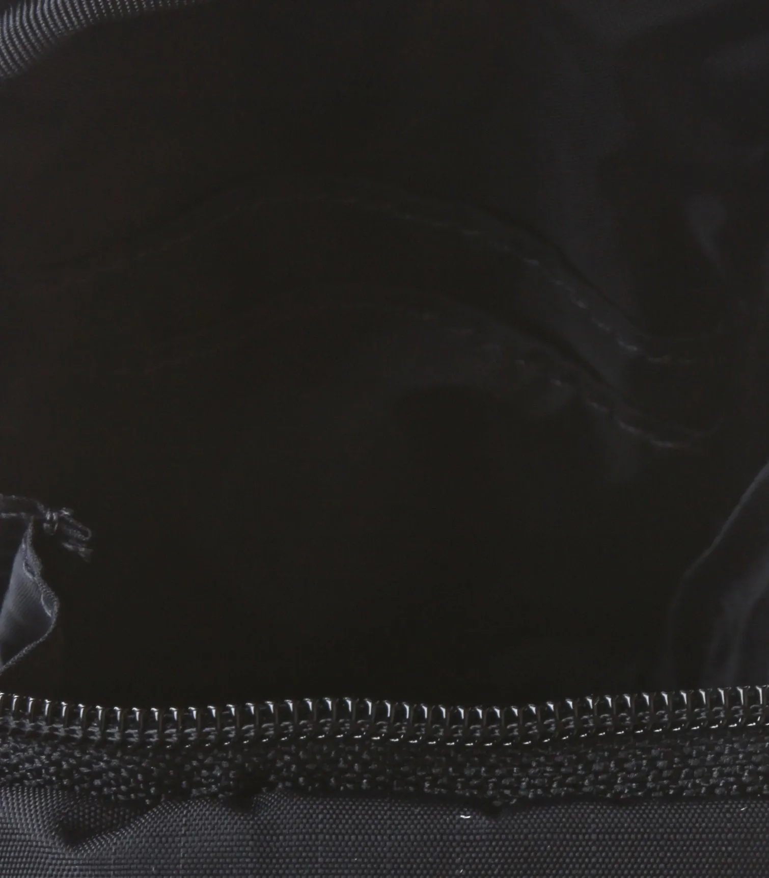 LeSportsac Paula Camera Case  