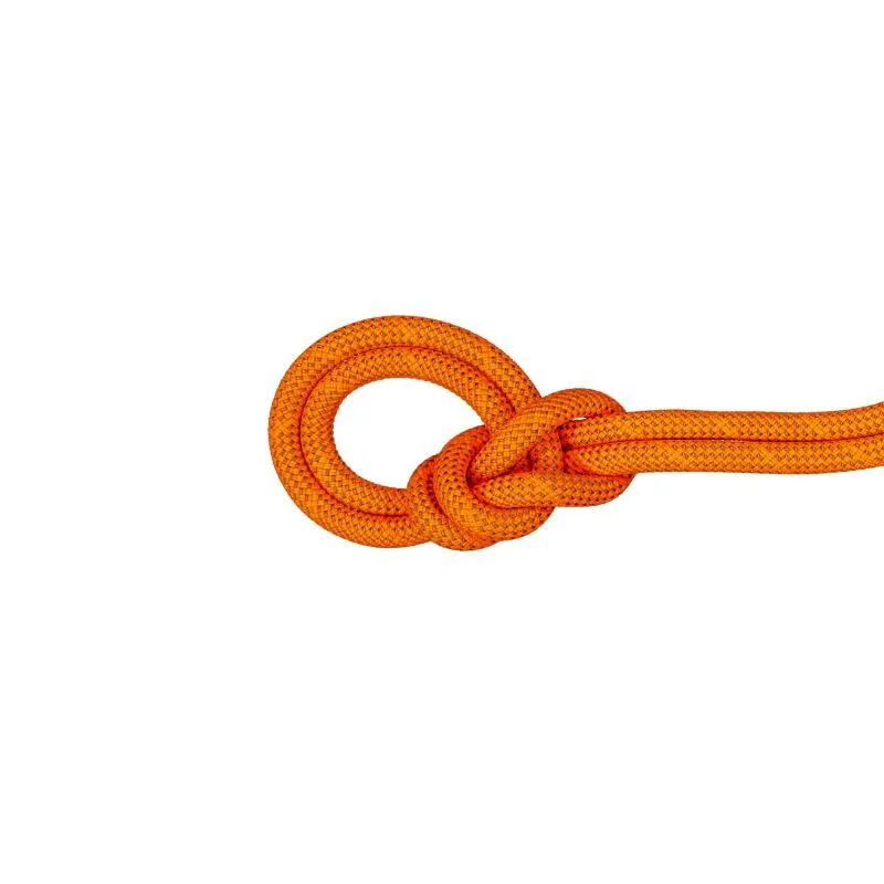 Mammut  9.8 Crag Dry Rope - Corda intera