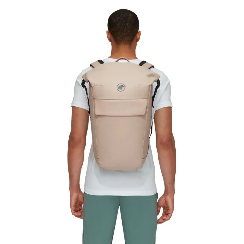 Mammut  Seon Courier 20 - Zaino urbano