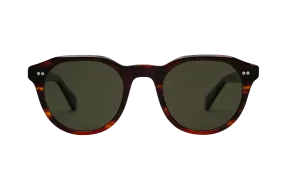 Morrison Sunglasses |  Dark Havana