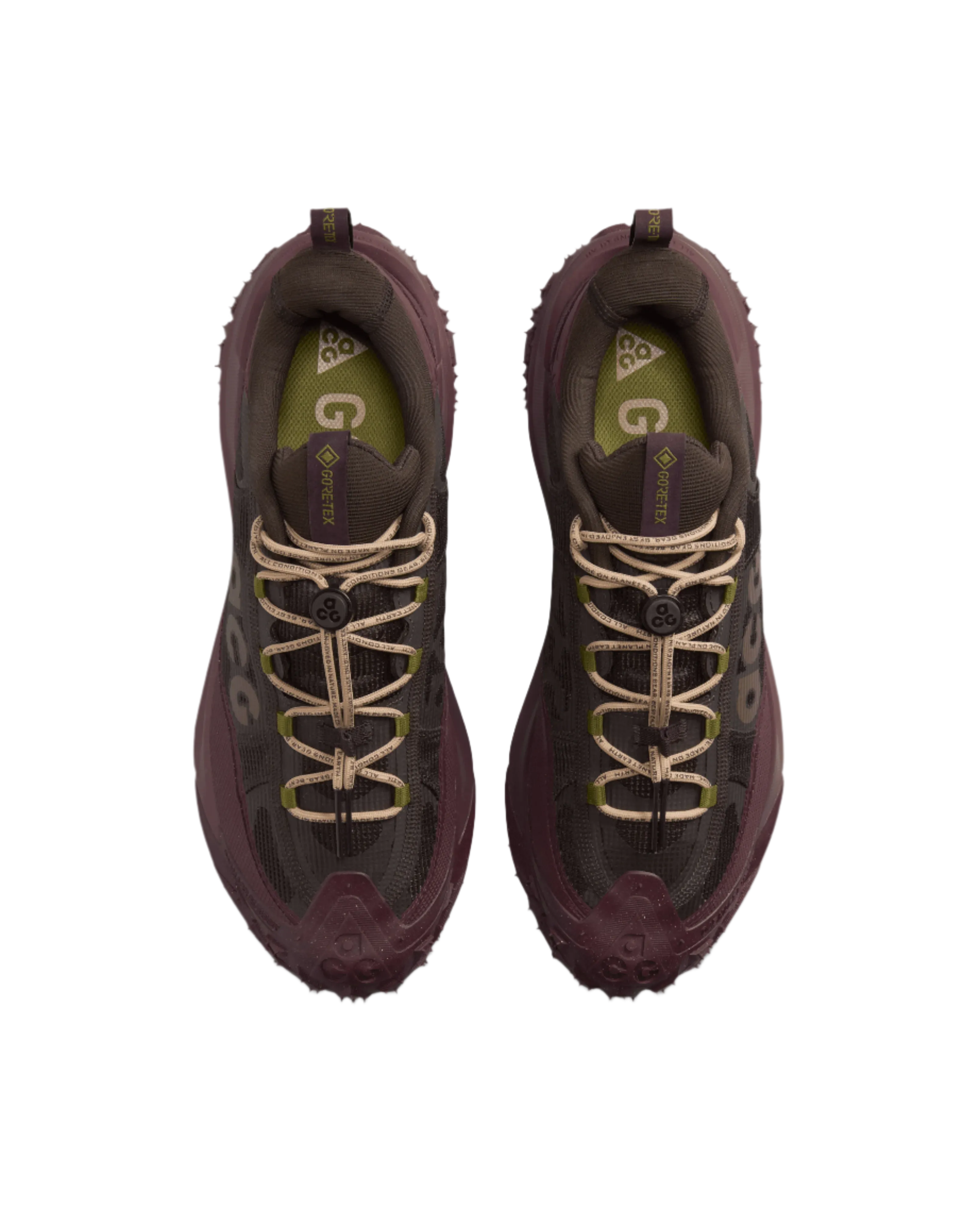 Nike ACG Mountain Fly 2 Low GTX