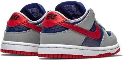Nike Kids Dunk Low 
