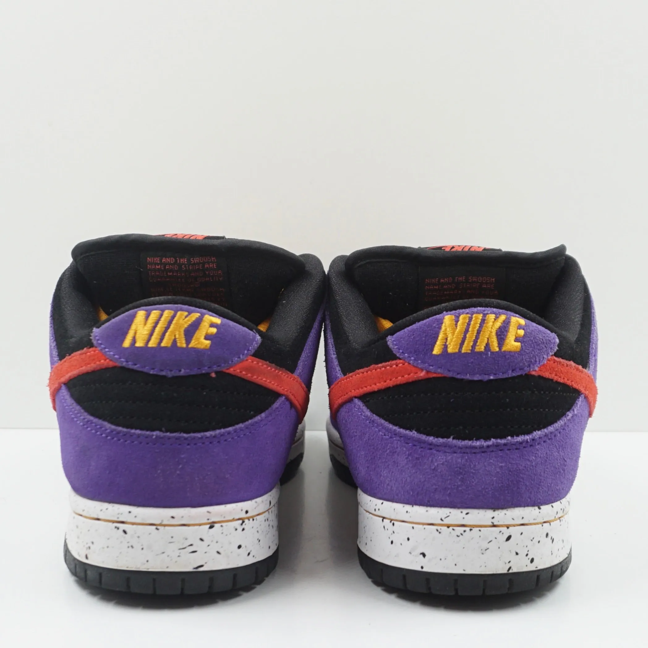 Nike SB Dunk Low ACG Terra