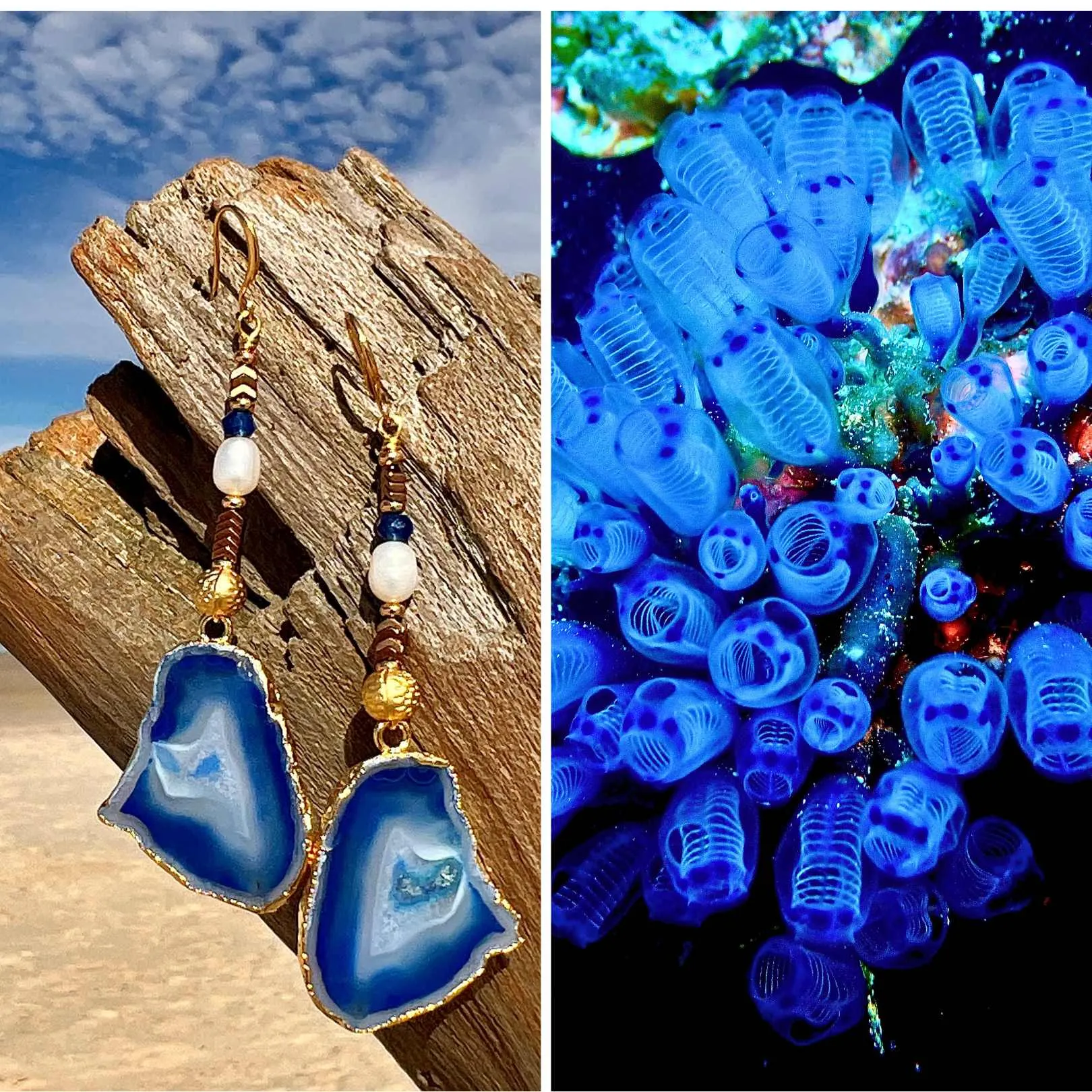 N°07 Sea Squirt Collection Earrings