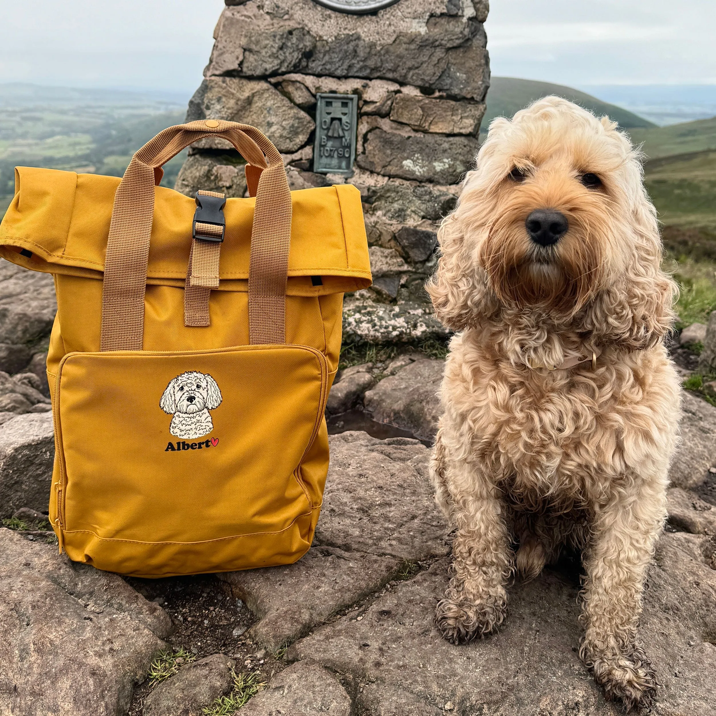 Personalised Pet Motif Doggy Day Care Backpack