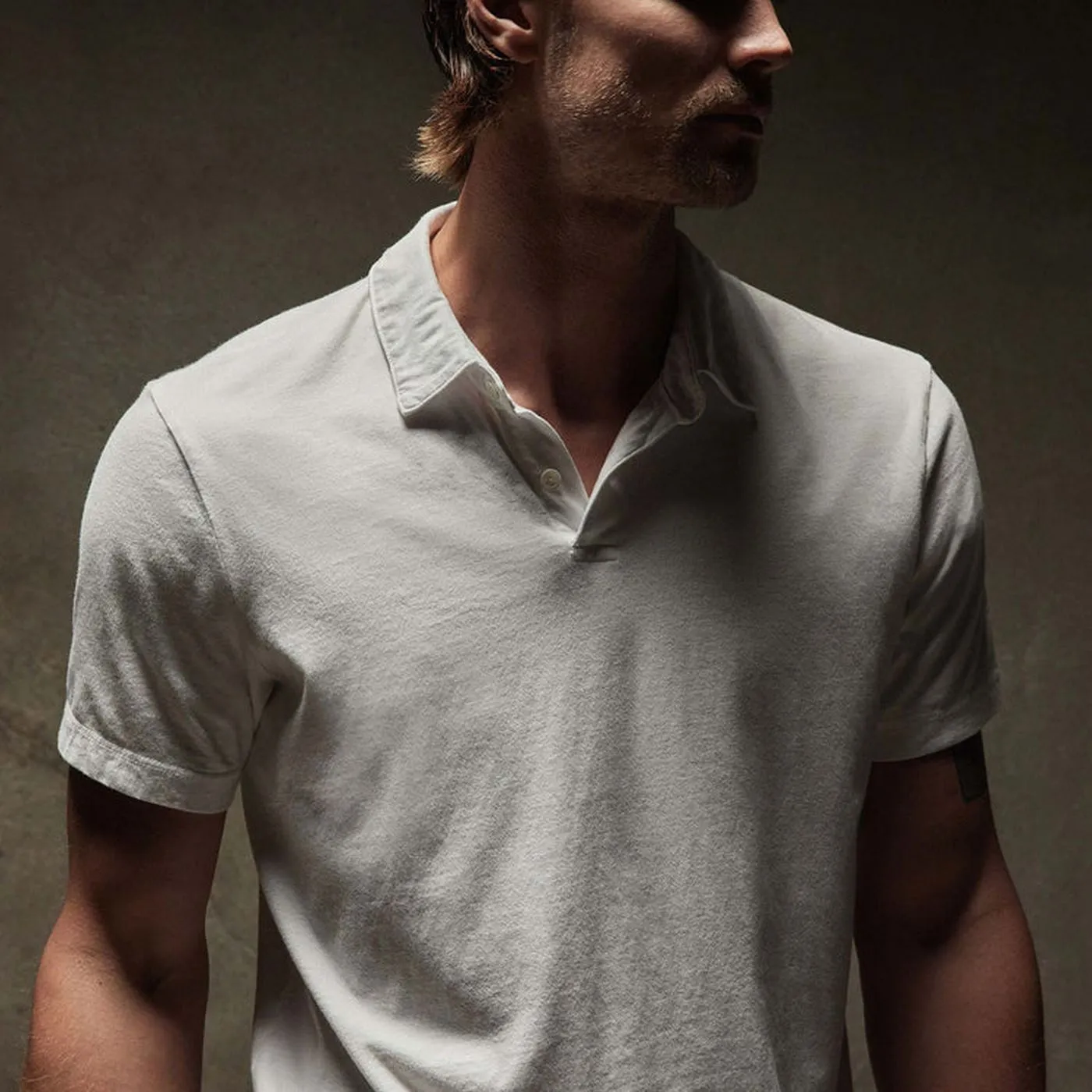 Revised Standard Polo-Red Earth Pigment