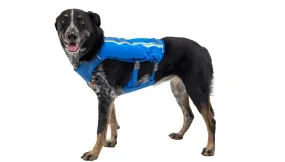 Ruffwear Trail Runner Dog Running Vest - Blue UK