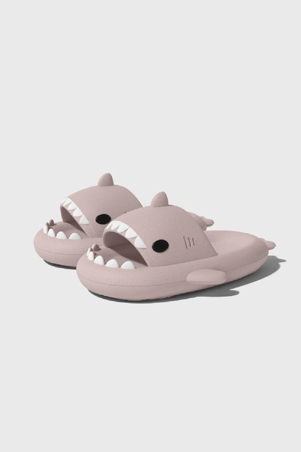 Shark Slippers