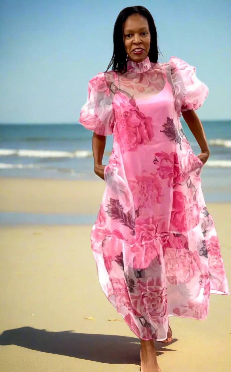 Sheer Maxi Dress
