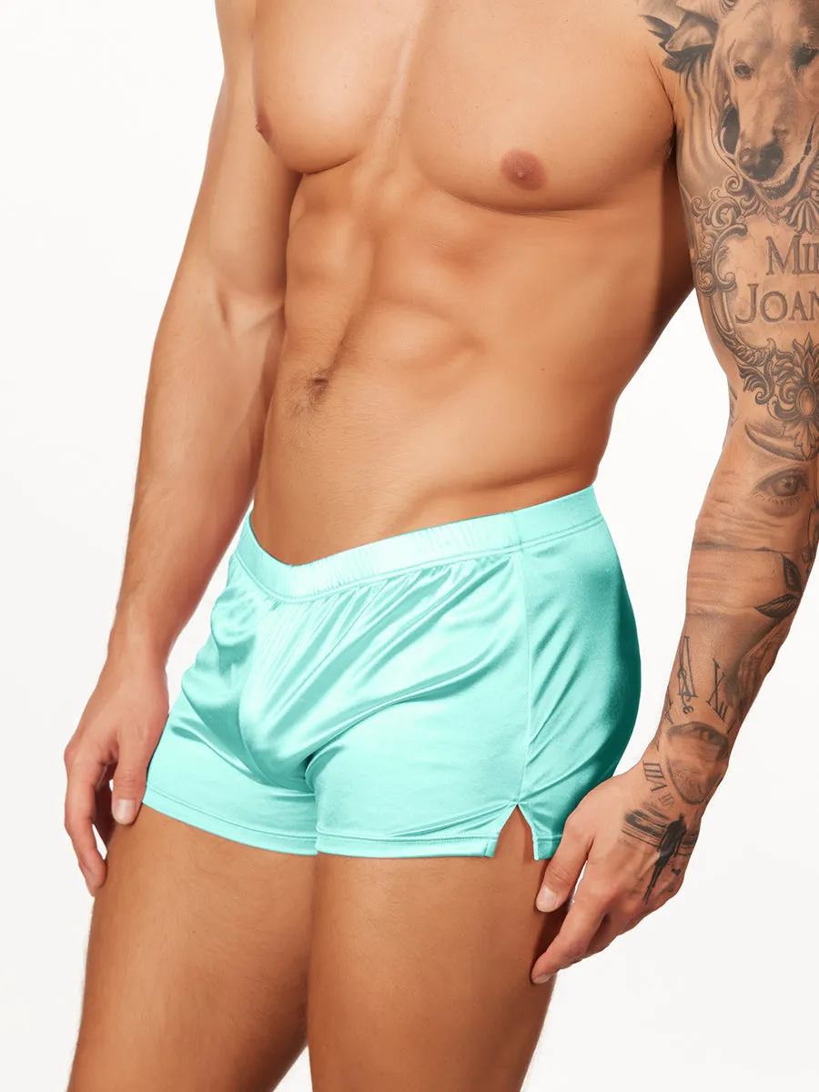 Shimmer Satin Shorts