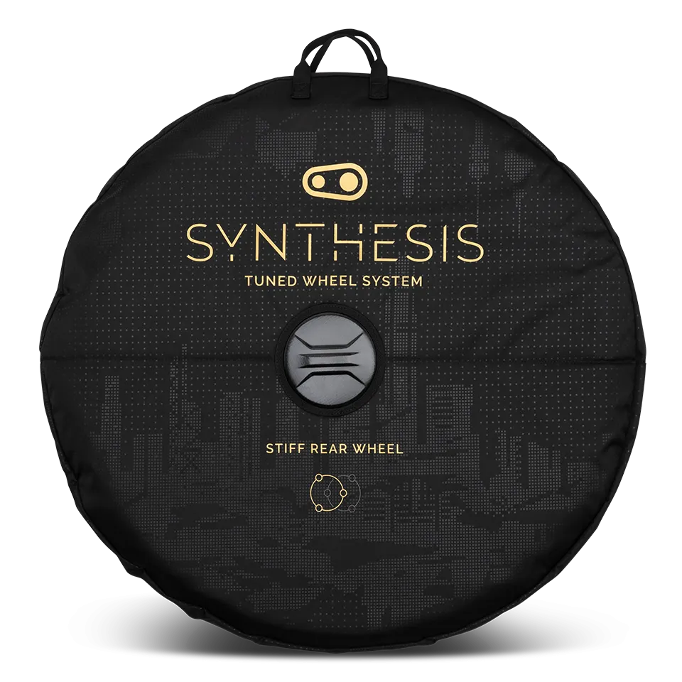 Synthesis Double Wheel Bag