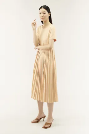 Tarryn Pleat Dress 