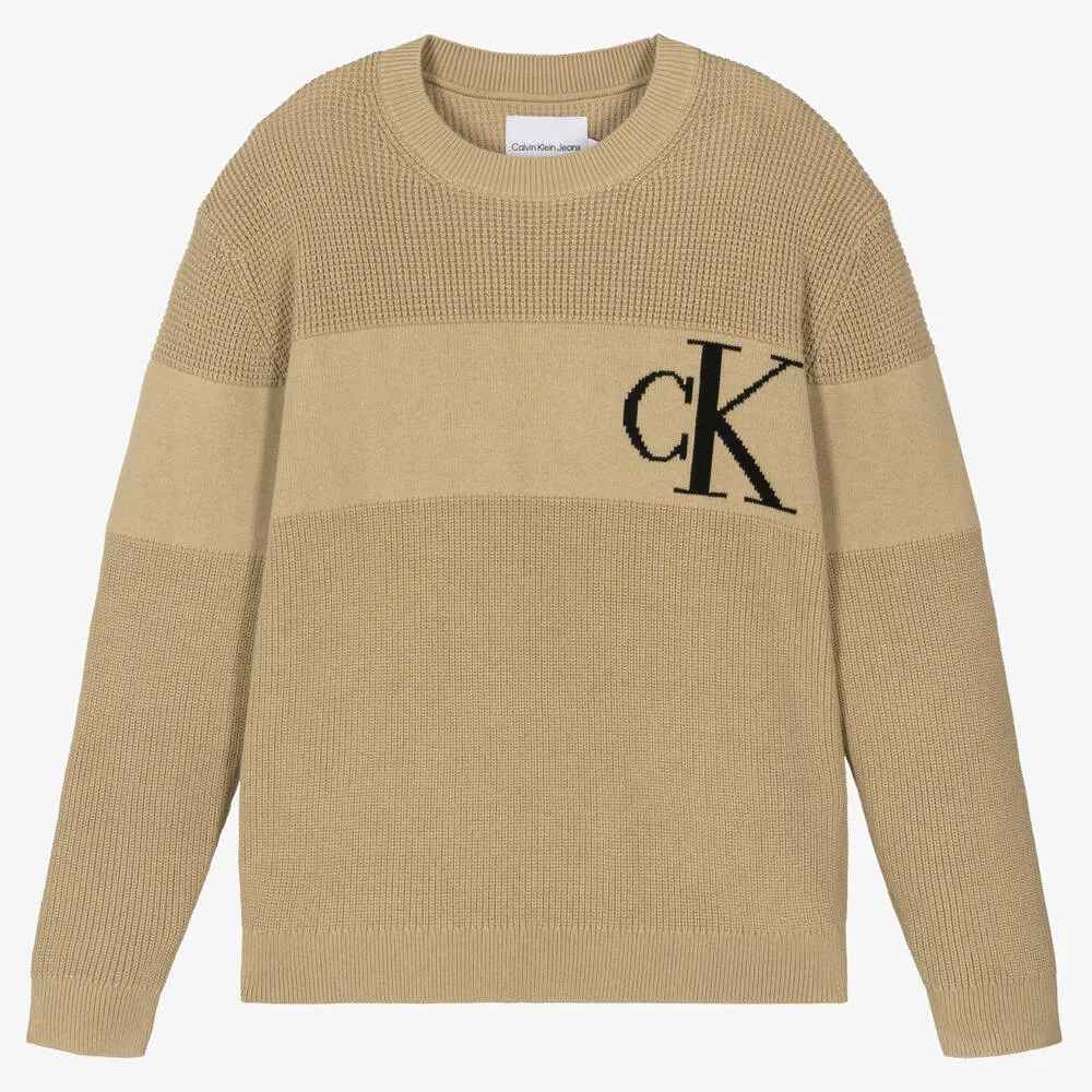 Teen Boys Beige Knitted Jumper
