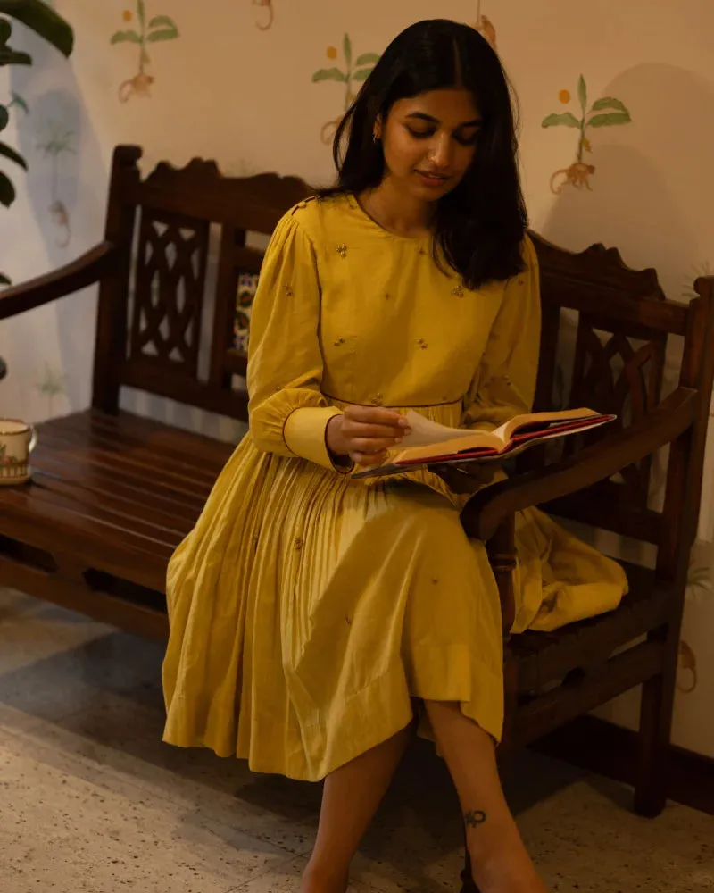 The Aam Dress