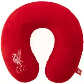 Travel Pillow