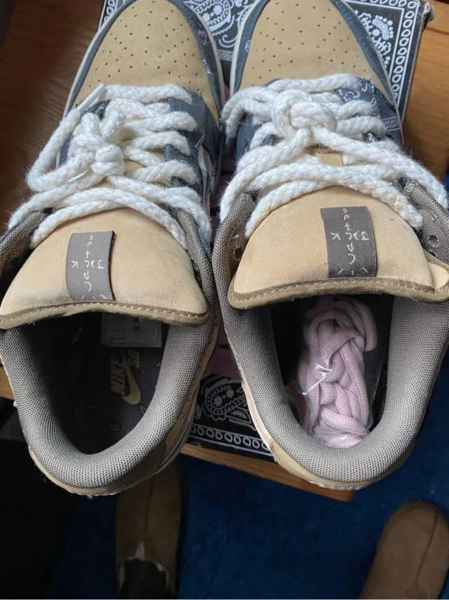 Travis scott x nike sb dunk low